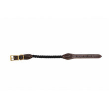 Leather & Cotton Rope Dog Collar